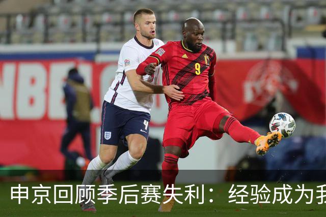 申京回顾季后赛失利：经验成为我们的弱点